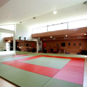 omadika-programmata-polis-gym-1