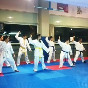 Karate Α.Σ. Λέοντες Νέας Σμύρνης