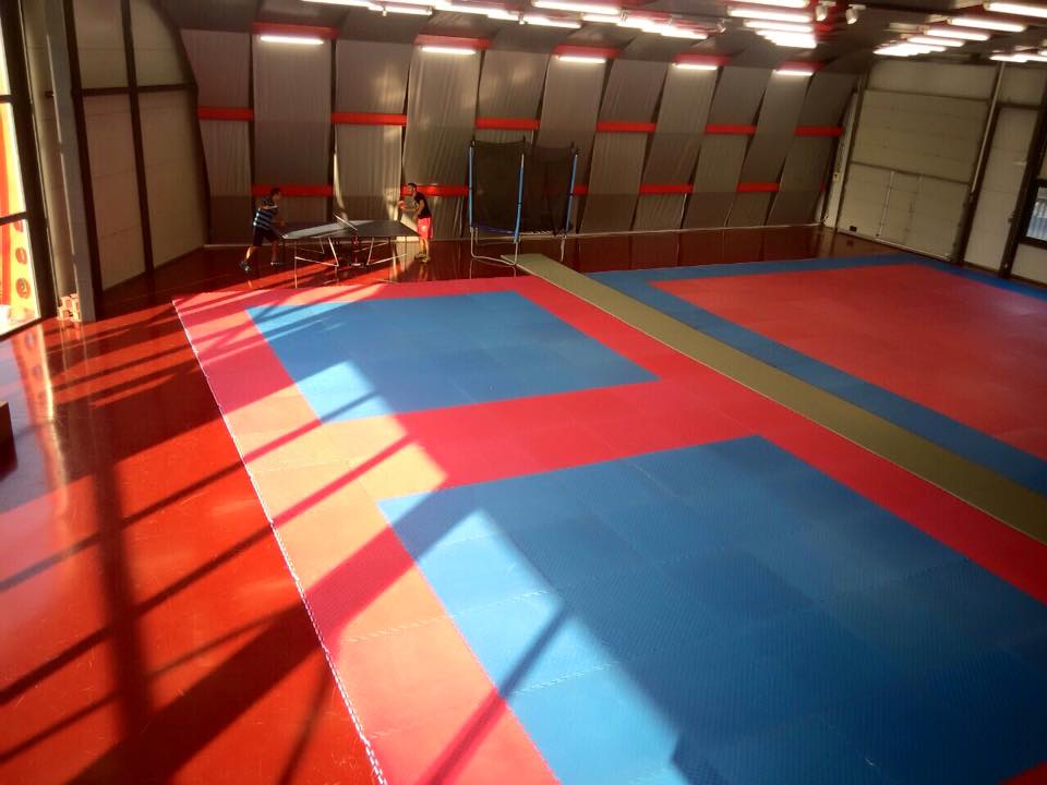 martial arts khfisia