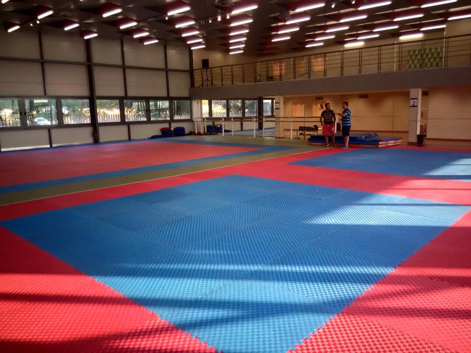 martial arts sportshunter