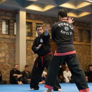 Hapkido