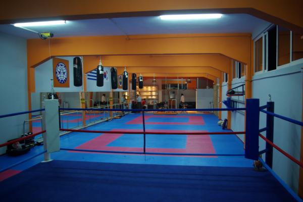 med_IMGP4742