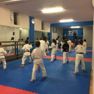 Karate Kids Tzanos Karate Academy TKA