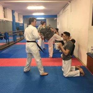 Karate Tzanos Karate Academy TKA