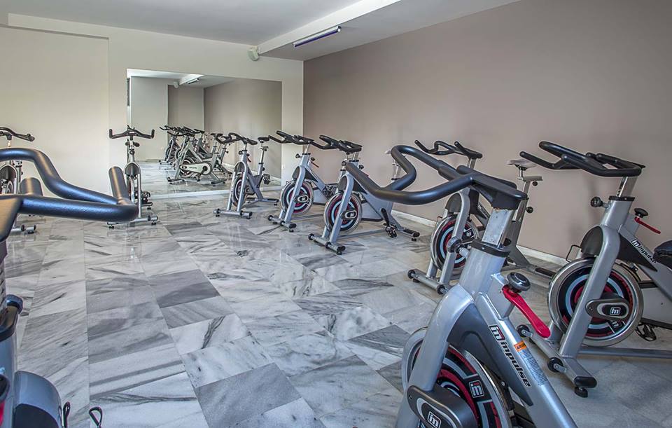 spinning axion xalandri