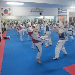 Tae Kwon Do Α.Γ.Ο. Ποσειδών Περιστέρι