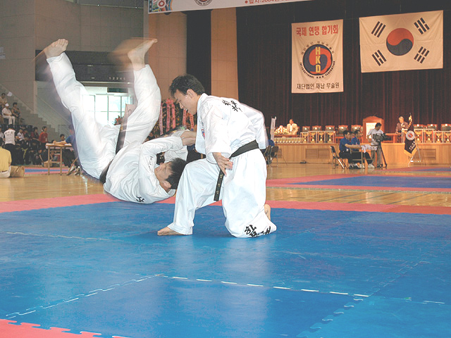 Hapkido Martial Arts Academy Περιστέρι Sportshunter