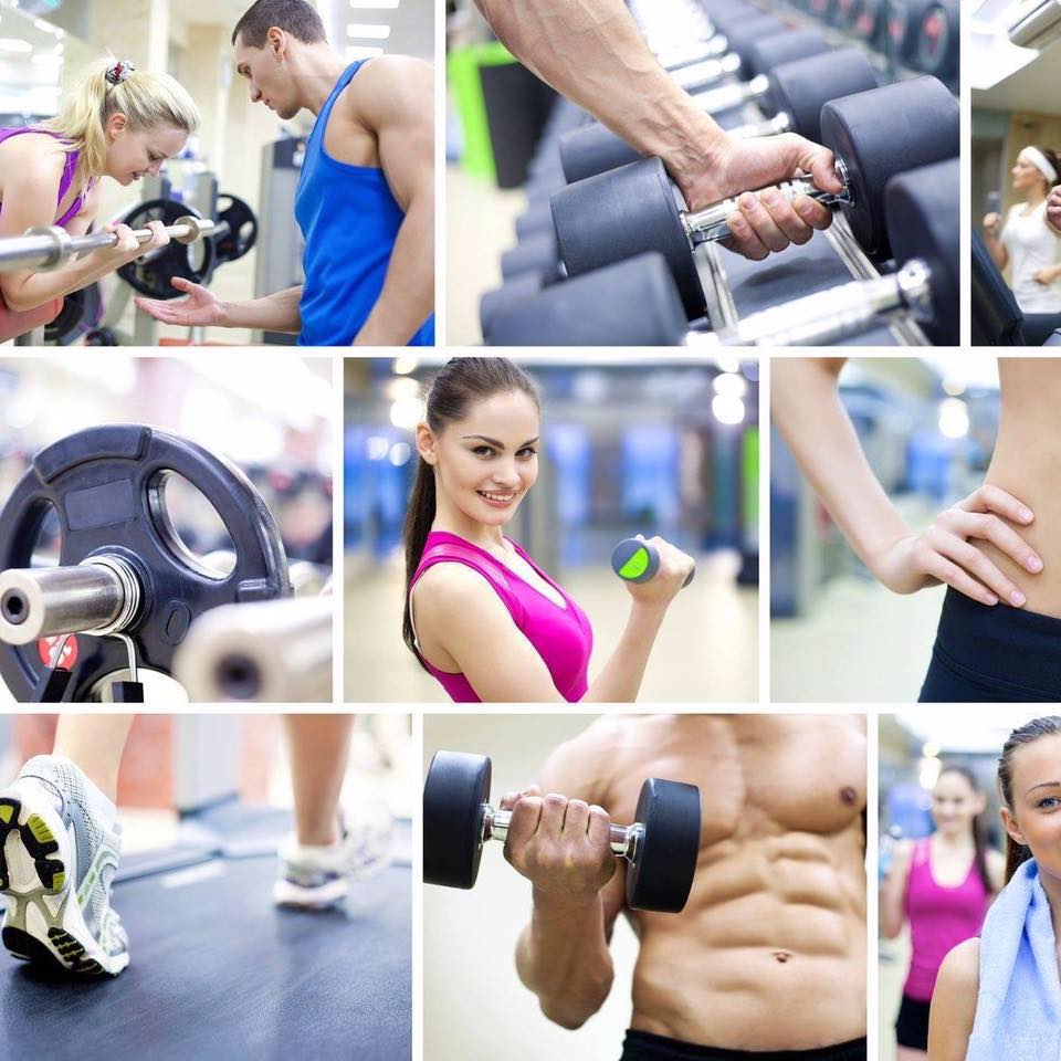 reflex-gym-sportshunter-1