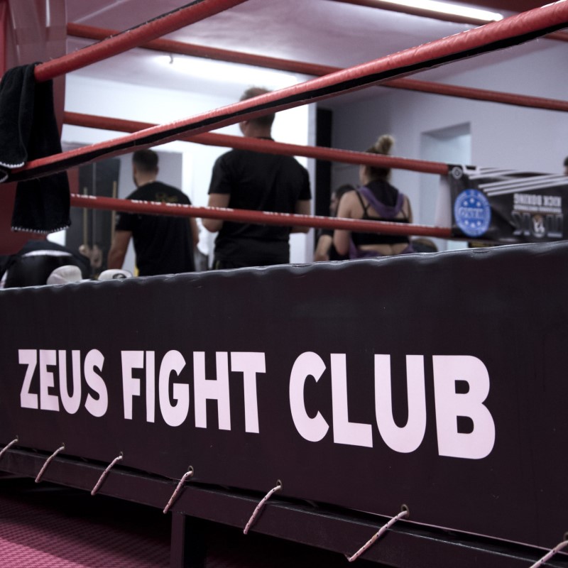 ZEUS fight CLUB