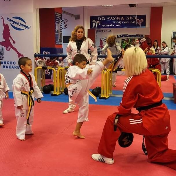 thiseas-neas-ionias-kakareli-nea-ioniataekwondo-kids-1