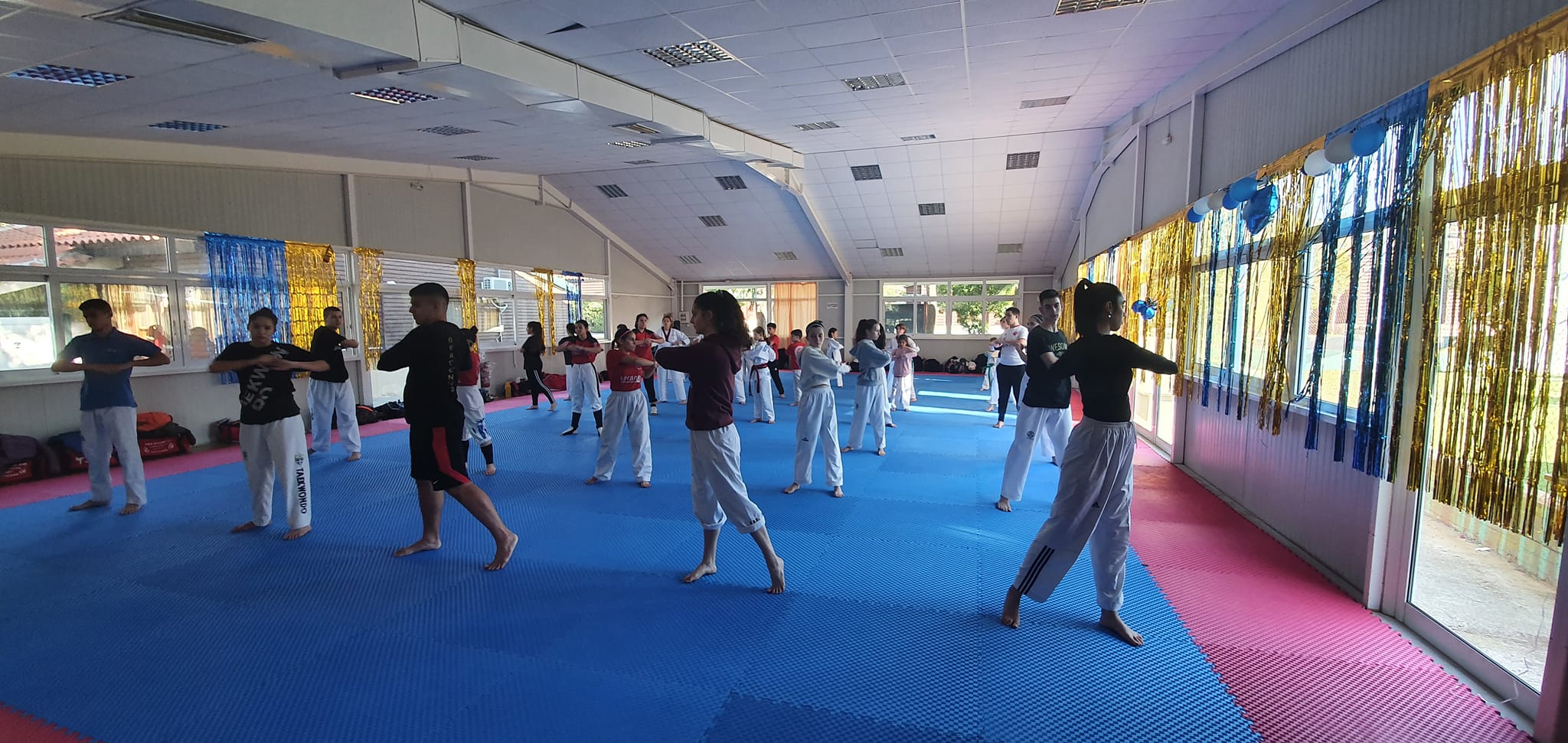 theagenis-taekwondo-kallithea-03-sportshunter