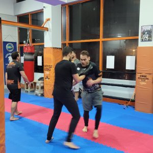 Krav maga