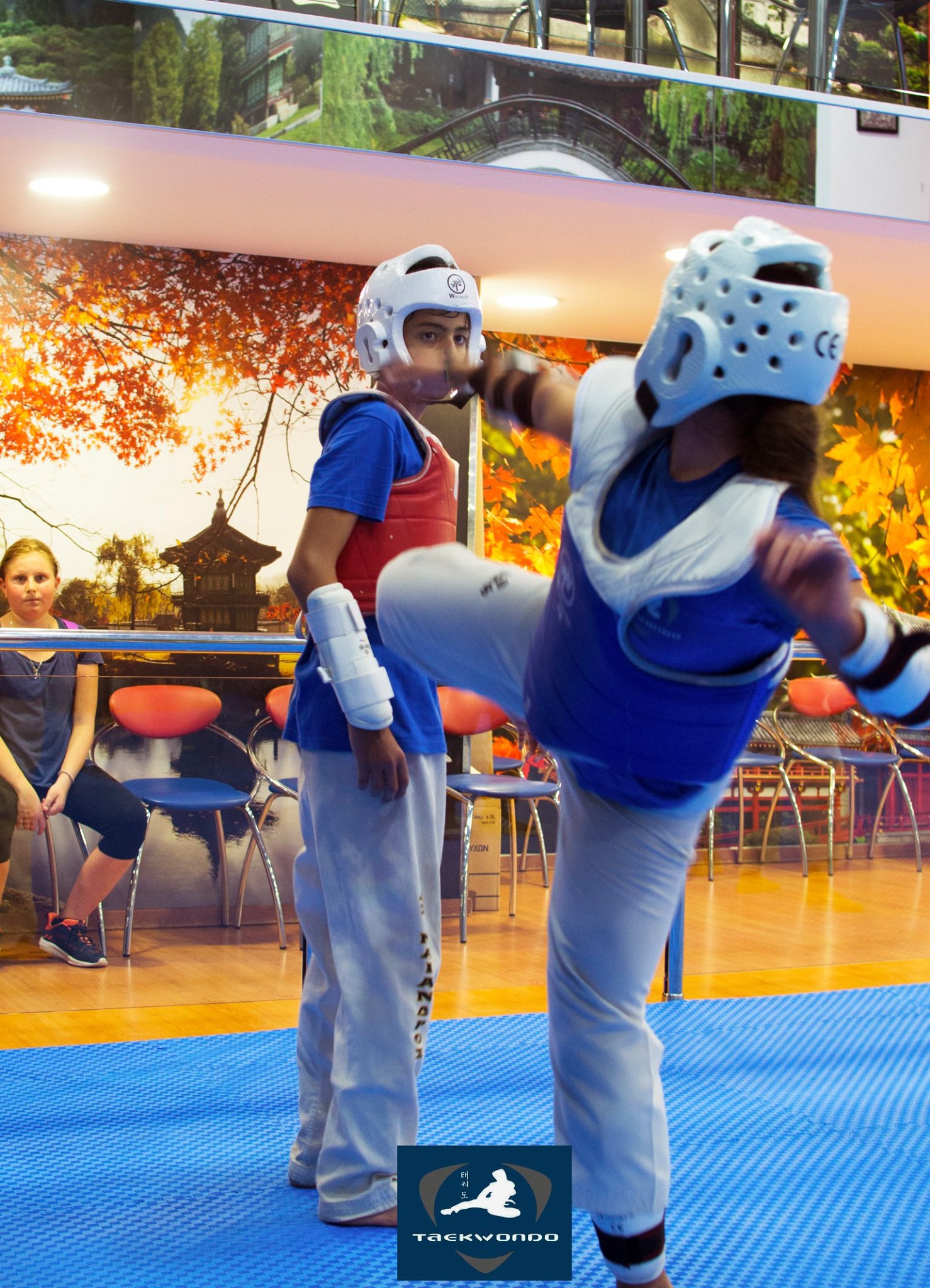 maiandros-alimos-taekwondo-04-sportshunter
