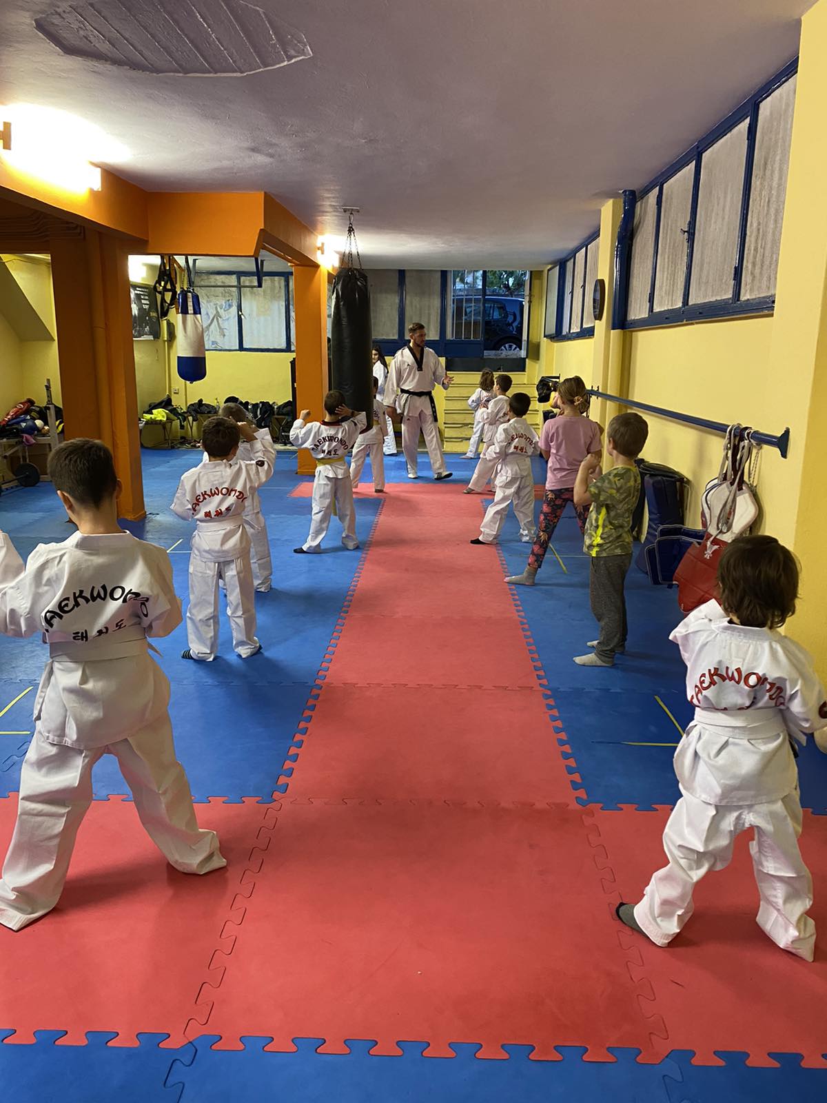 drakas-team-athens-taekwondo-04-sportshunter