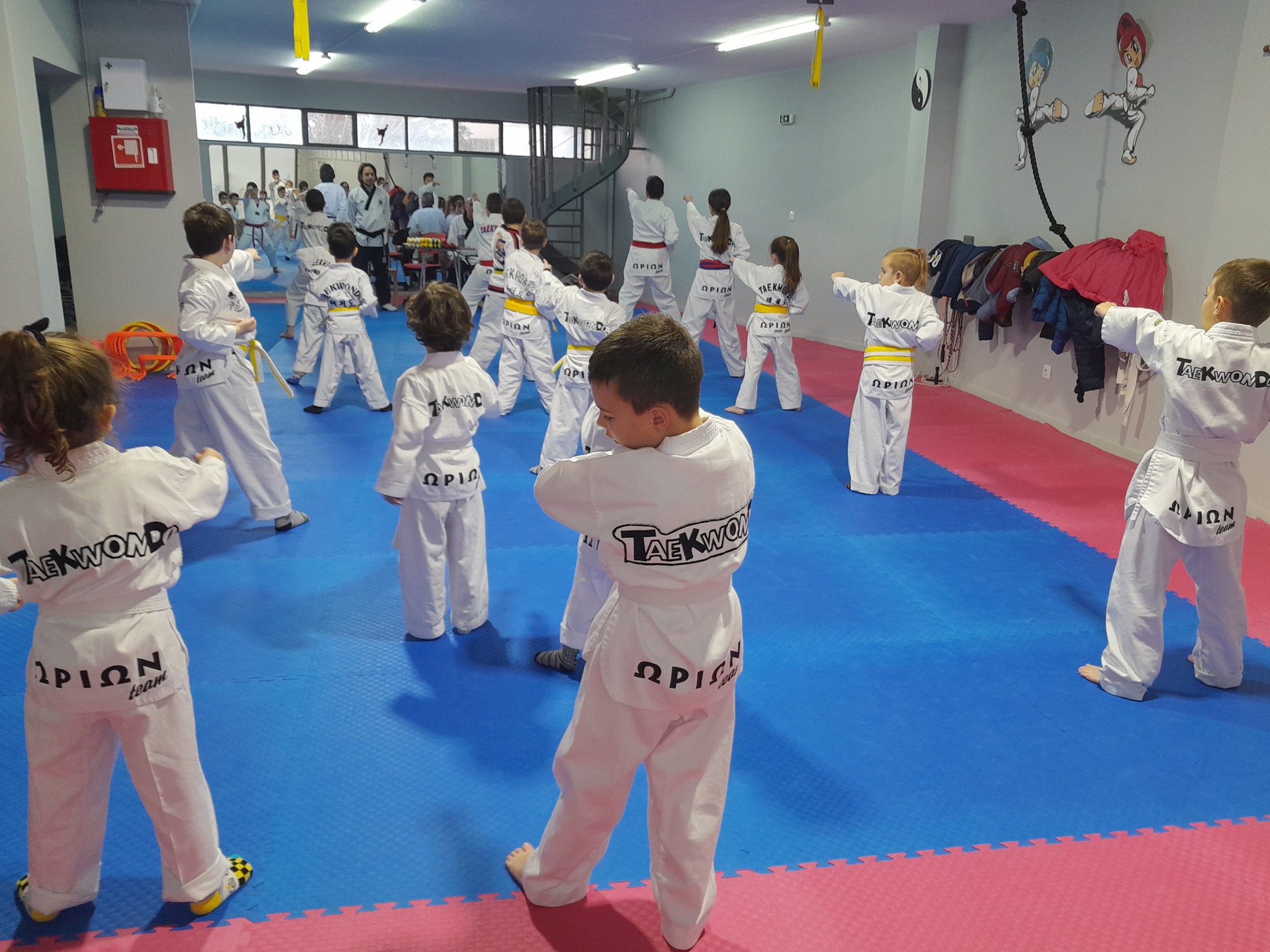 orion-alimos-taekwondo-eksetaseis-exromon-zonon-sportshunter