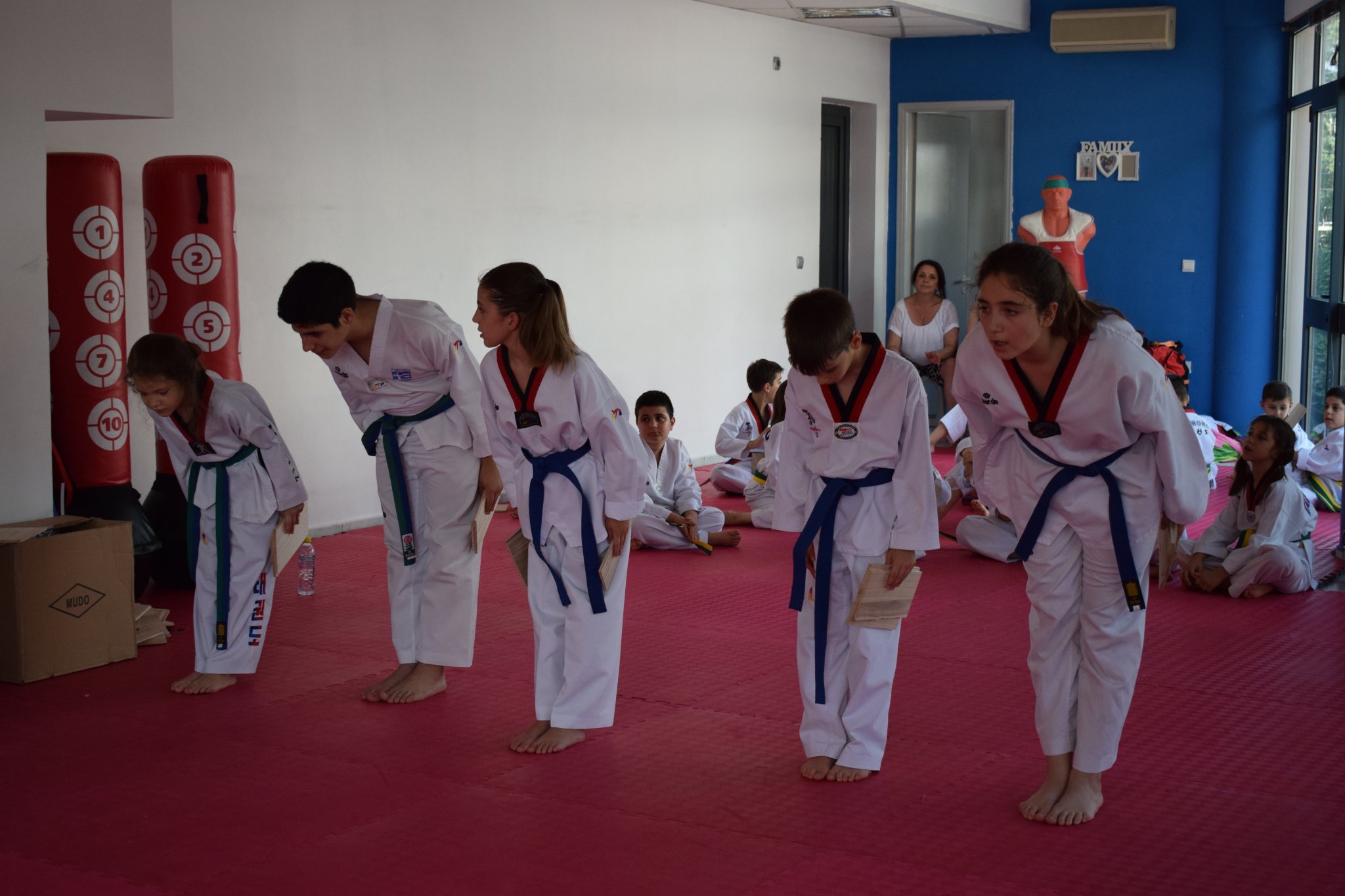 pygmi-psichikou-taekwondo-03-sportshunter