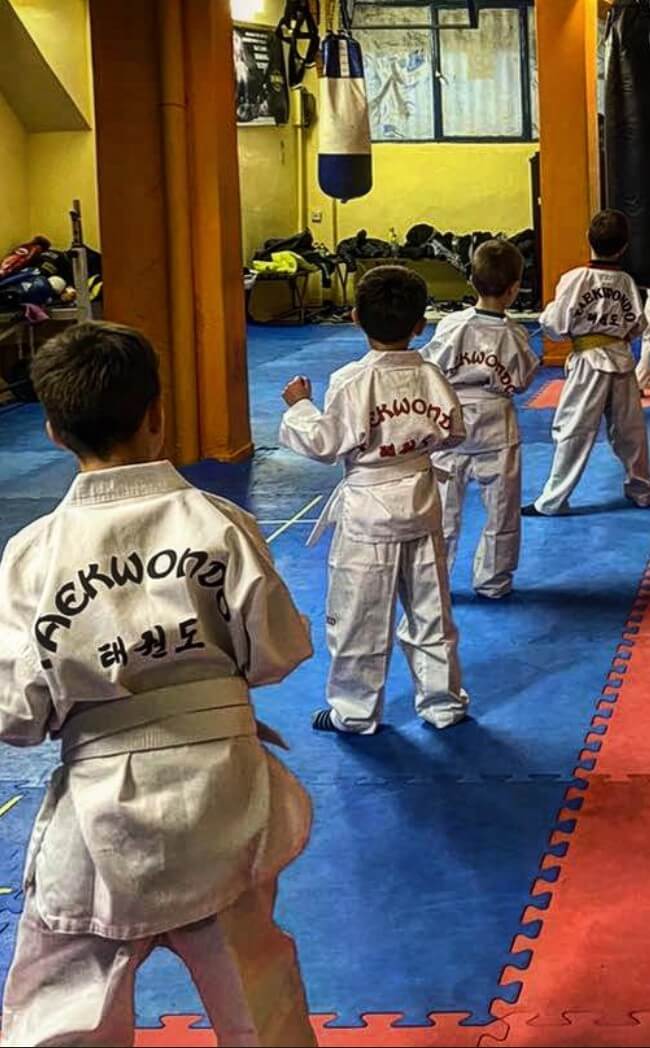drakas-team-zografou-taekwondo-02-sportshunter