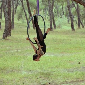 Aerial Hoop