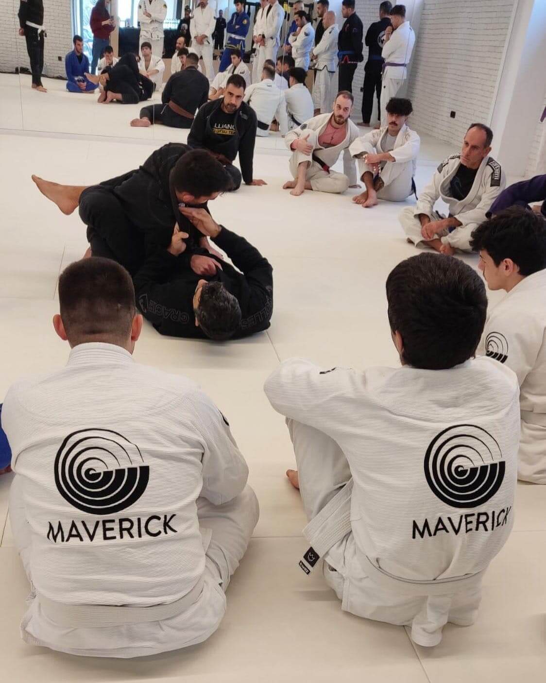 maverick-academy-brazilian-jiu-jitsu-likovrisi-sportshunter-9