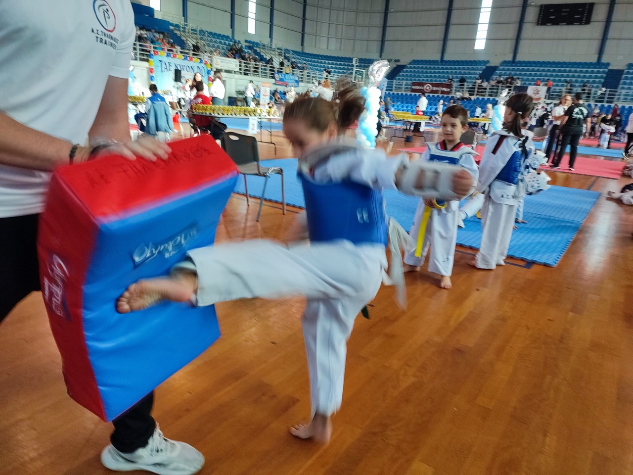 tilemachos-xaidari-taekwondo-filiki-diorganosi-sportshunter-1