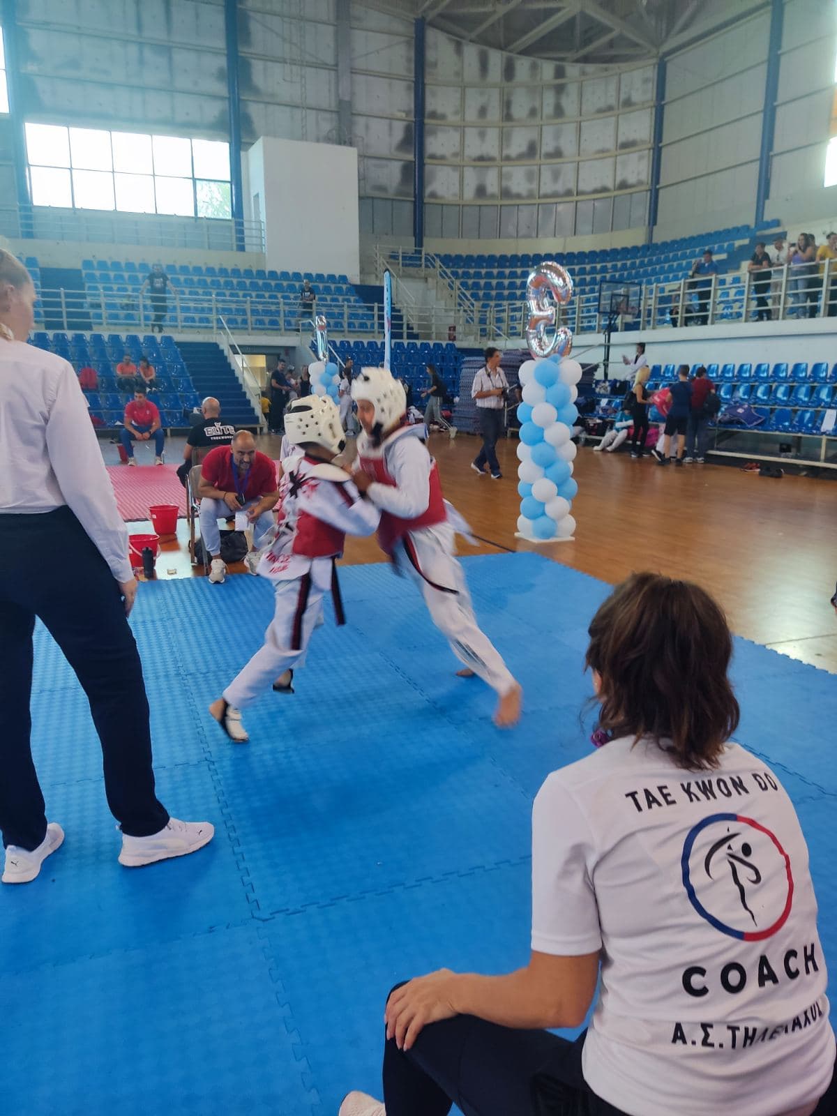 tilemachos-xaidari-taekwondo-filiki-diorganosi-sportshunter-1
