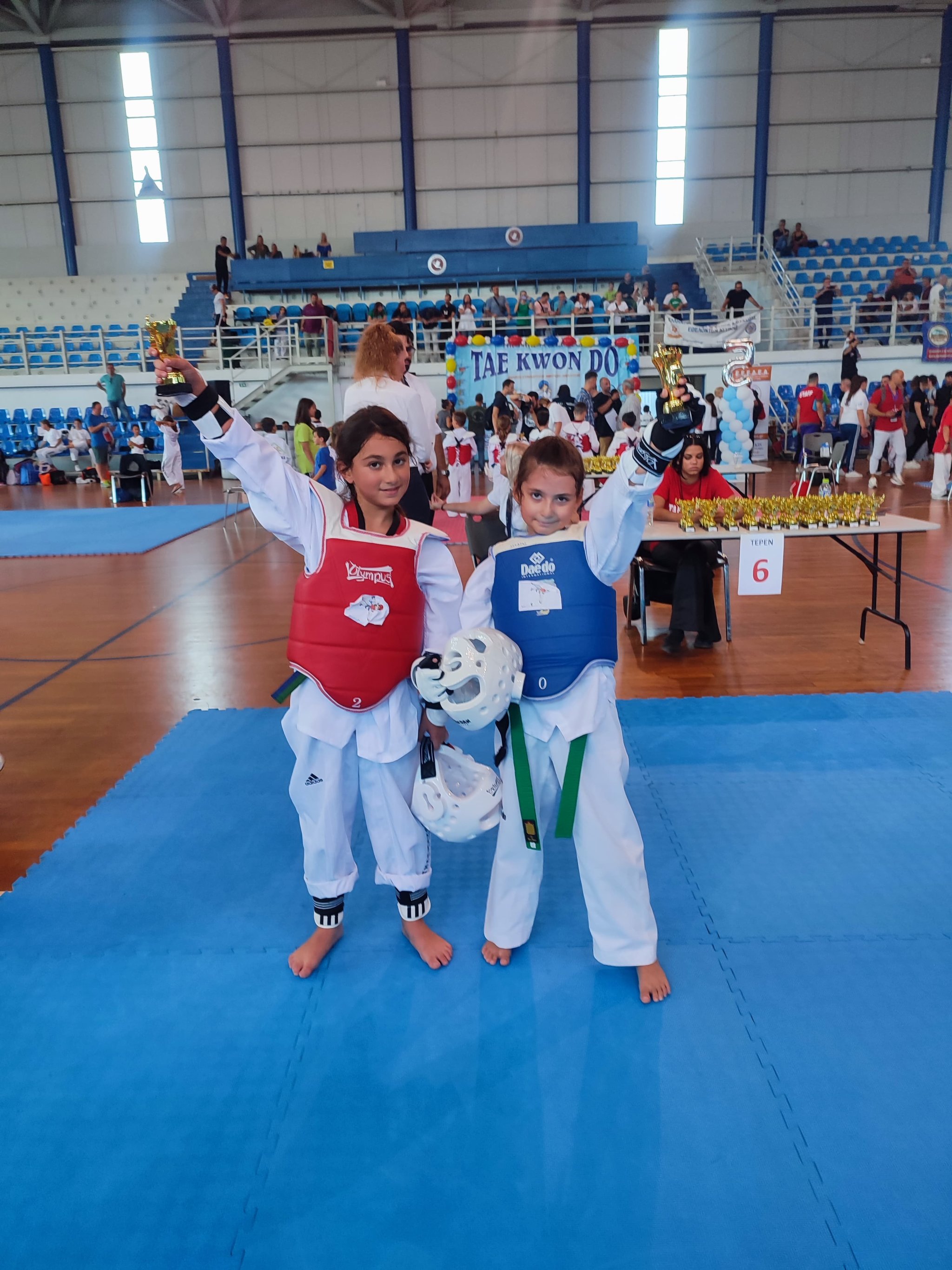 tilemachos-xaidari-taekwondo-filiki-diorganosi-sportshunter-4
