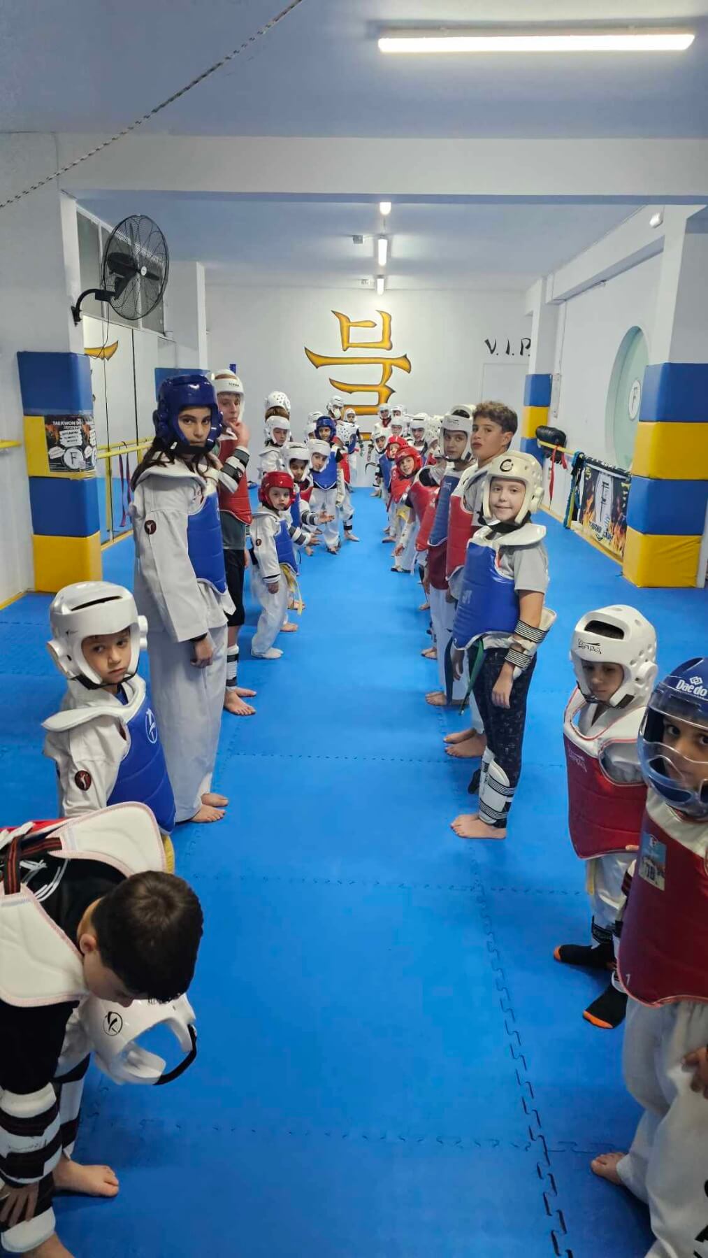 drakas-team-zografou-taekwondo-filliki-proponisi-sportshunter-1