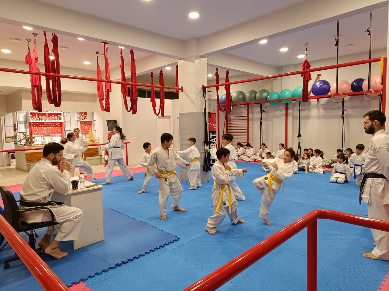 victorious-karate-club-evoia-exetaseis-zonon-sportshunter-9