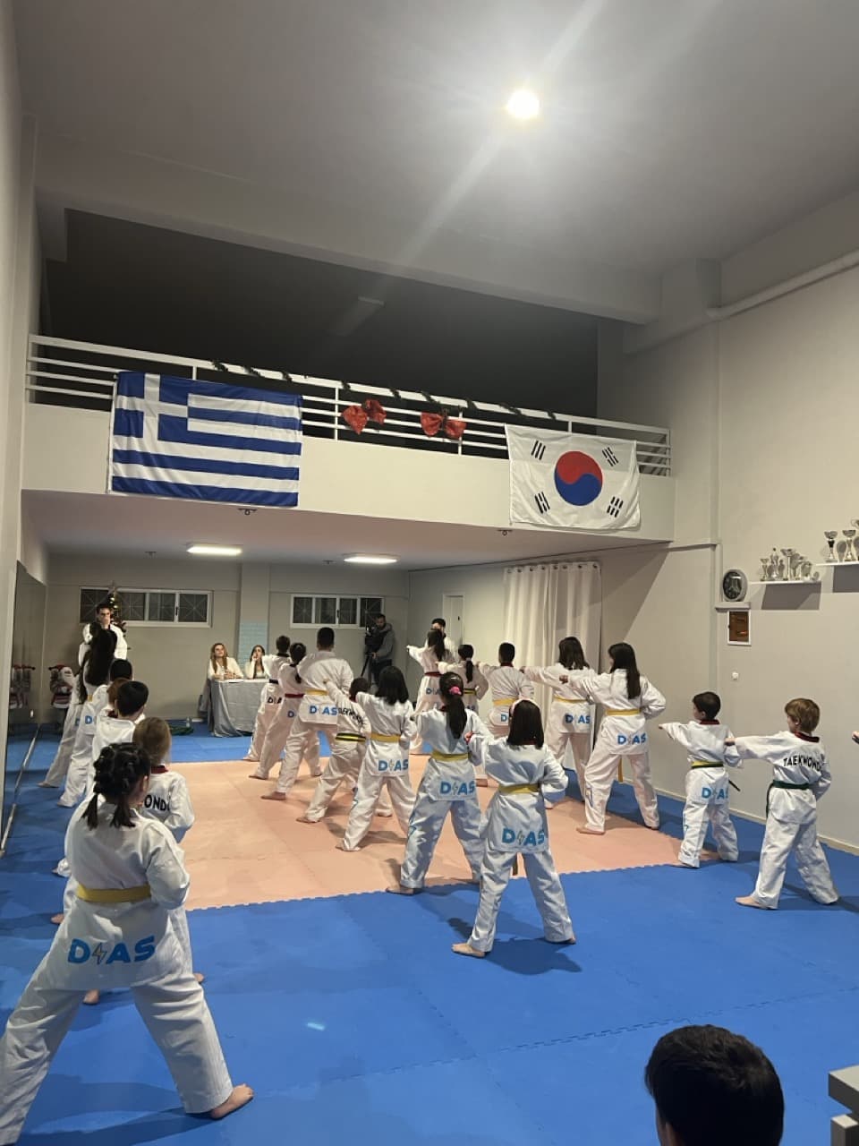 dias-kalamatas-taekwondo-sportshunter13