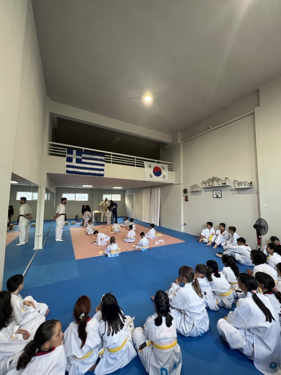 dias-kalamatas-taekwondo-sportshunter3