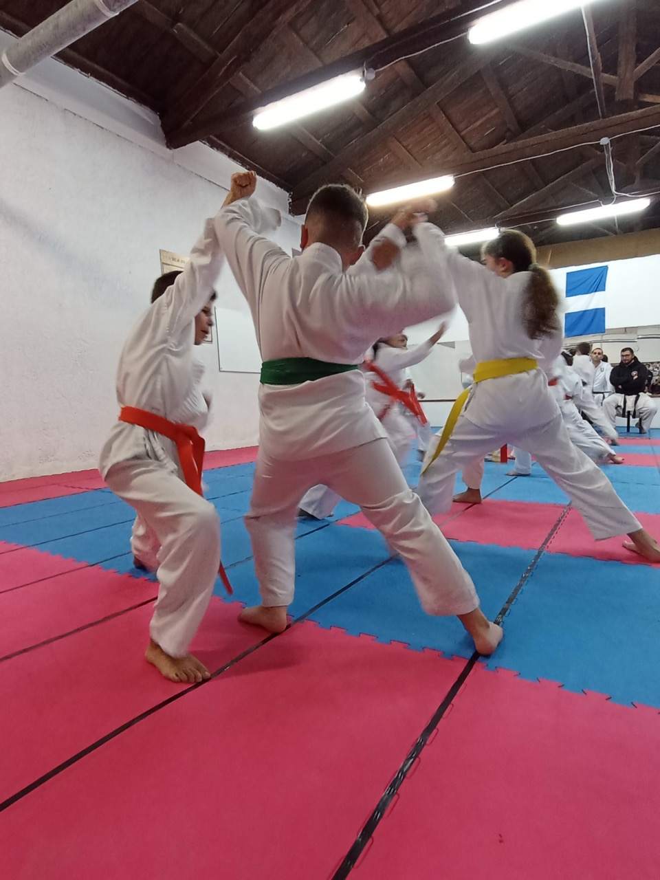 shotokan-karate-xylokastro-karate-sportshunter-18