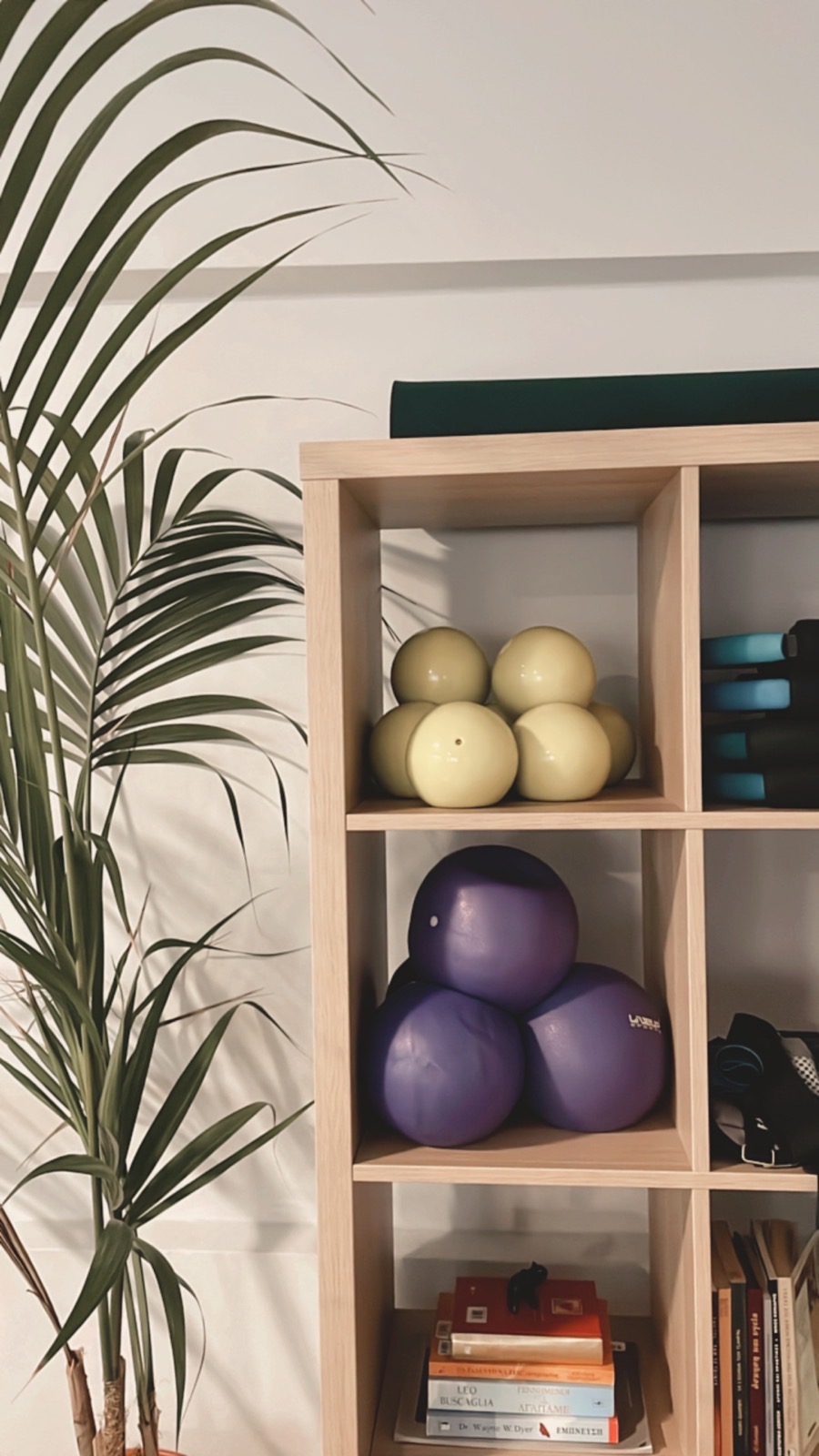 Pilates Mat & Props