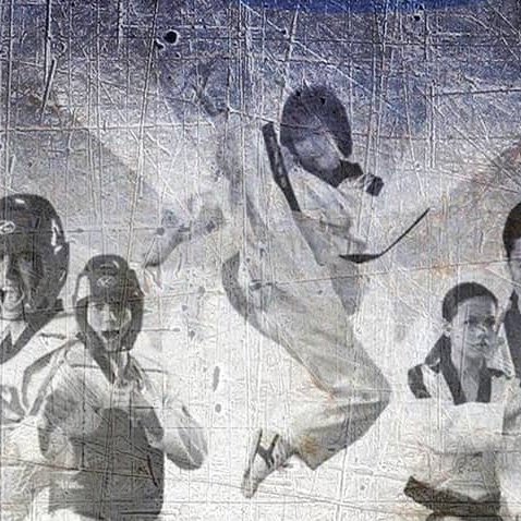 Minoites TaeKwonDo