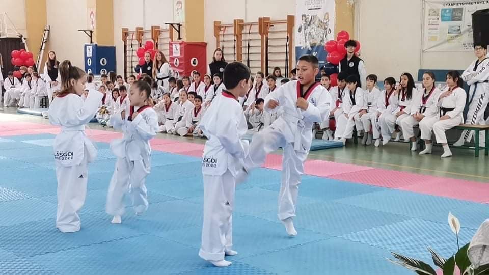 pelasgoi-skyros-taekwondo-skyros-zones-sportshunter-103