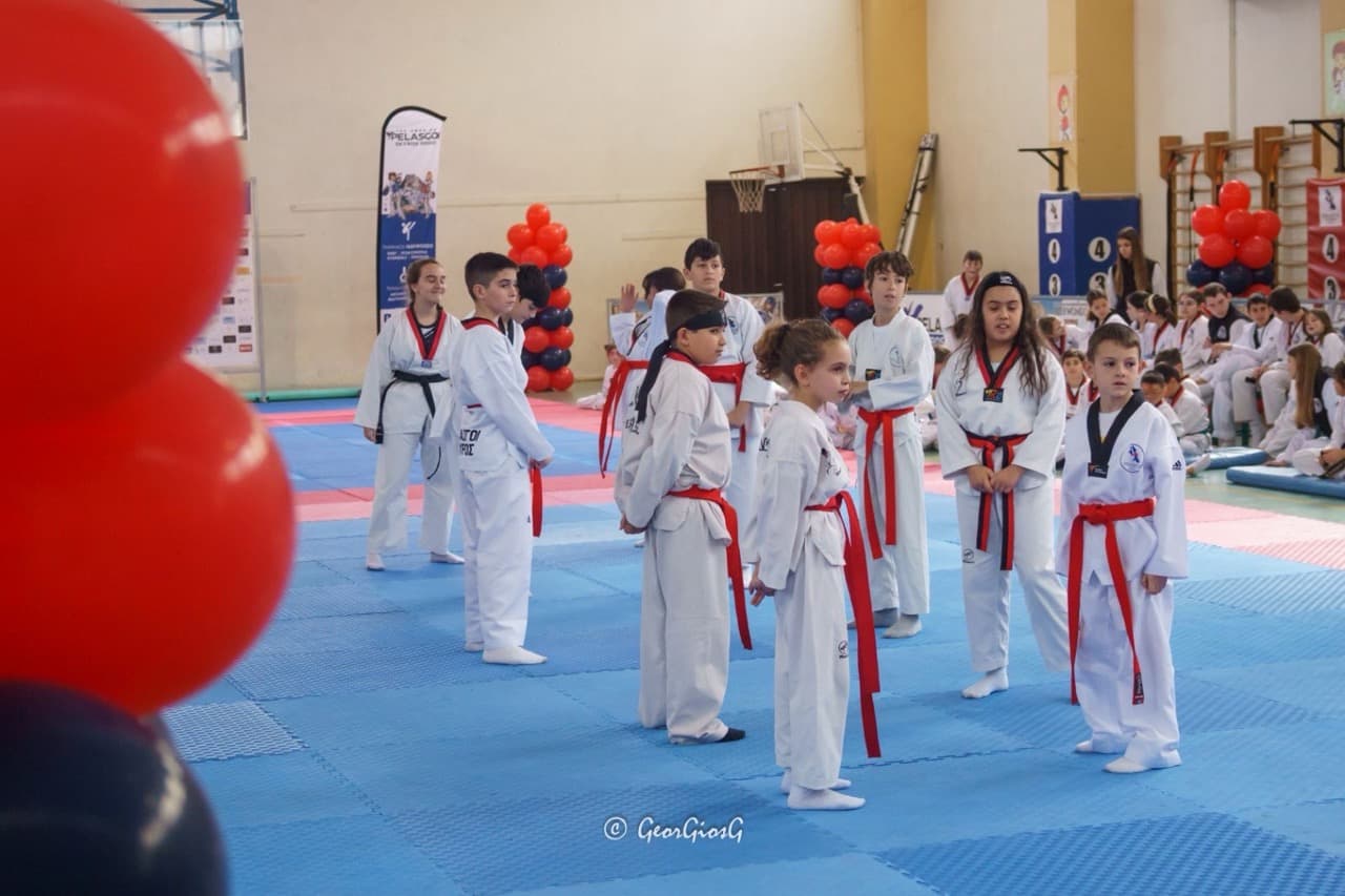 pelasgoi-skyros-taekwondo-skyros-zones-sportshunter-42