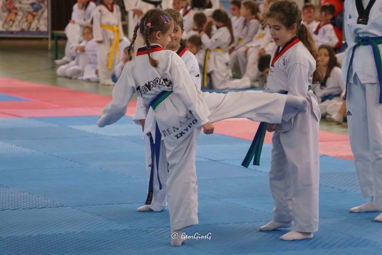 pelasgoi-skyros-taekwondo-skyros-zones-sportshunter-64
