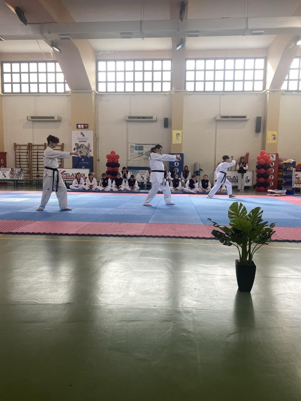 pelasgoi-skyros-taekwondo-skyros-zones-sportshunter-7
