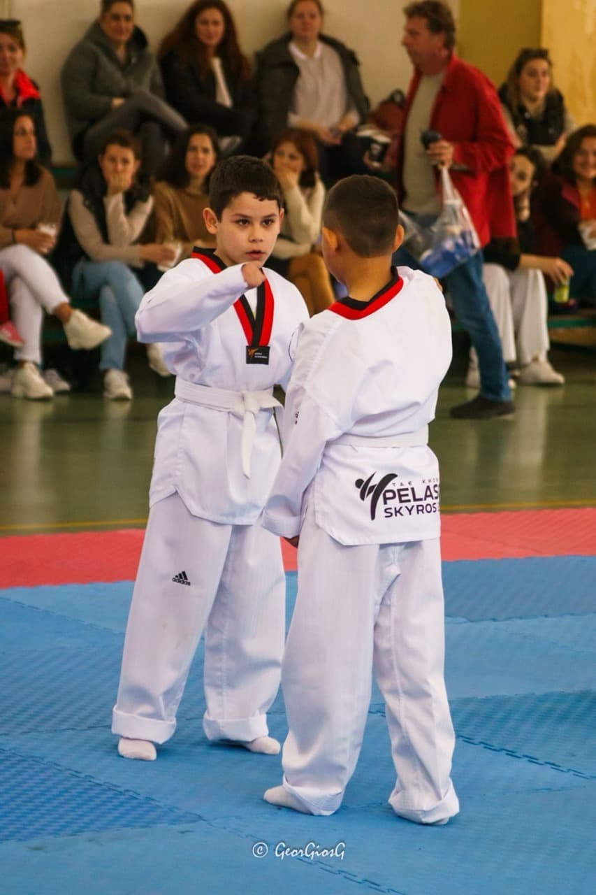 pelasgoi-skyros-taekwondo-skyros-zones-sportshunter-83