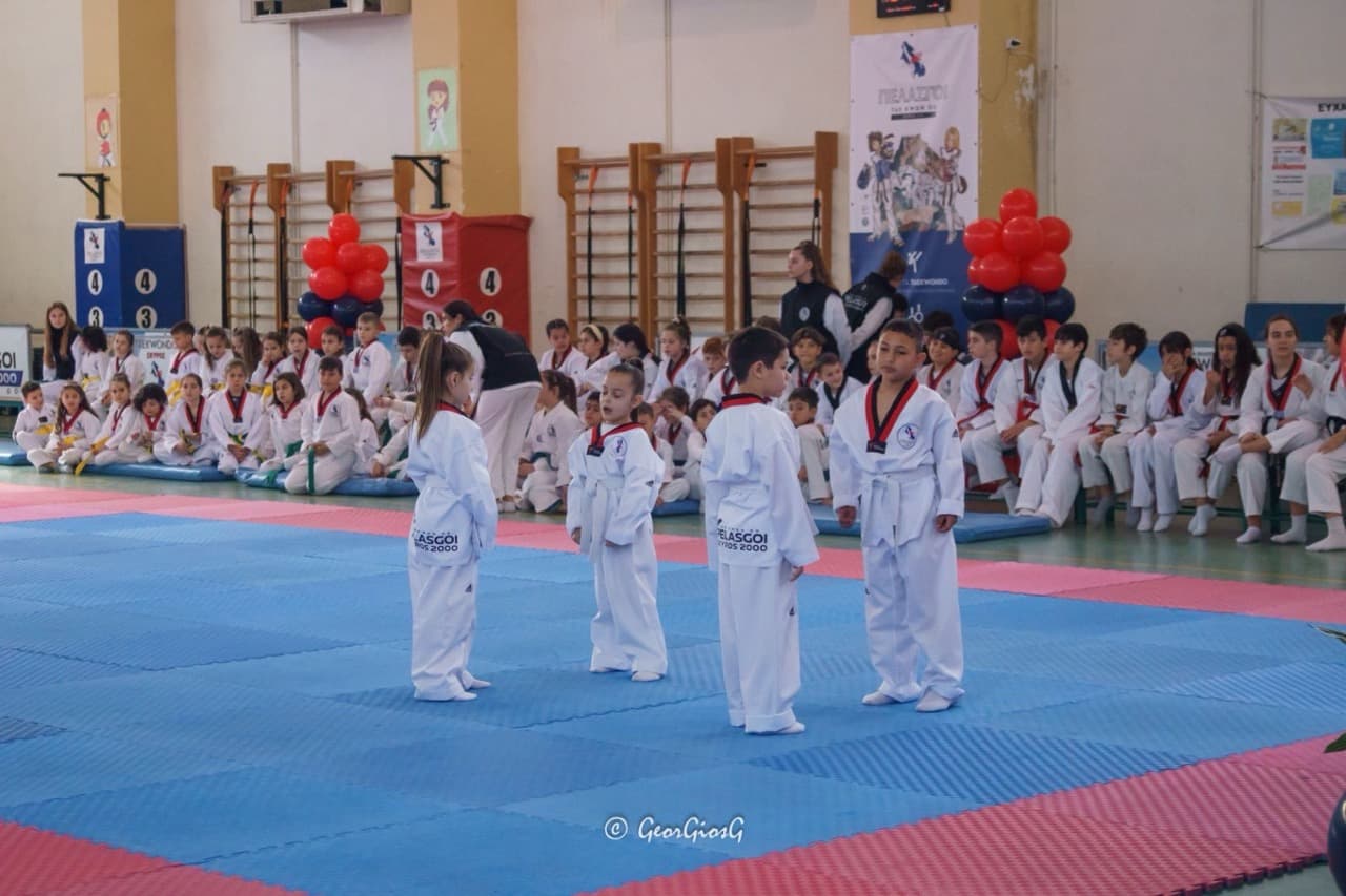 pelasgoi-skyros-taekwondo-skyros-zones-sportshunter-84