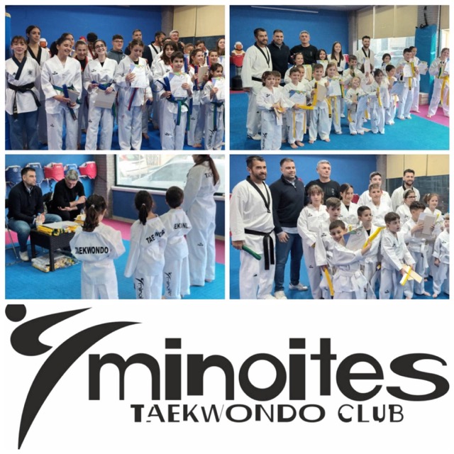 minoites-taekwondo-iraleio-kritis-sportshunter-15 Medium