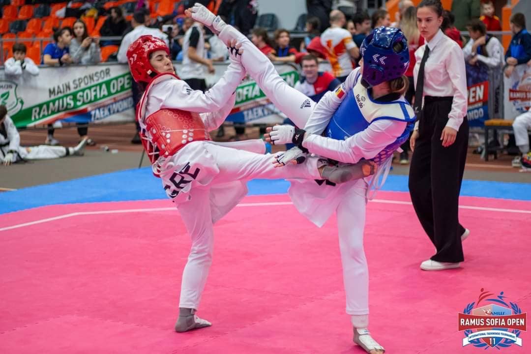 thiseas-taekwondo-zoi-kakareli-nea-ionia-sportshunter-22 Large