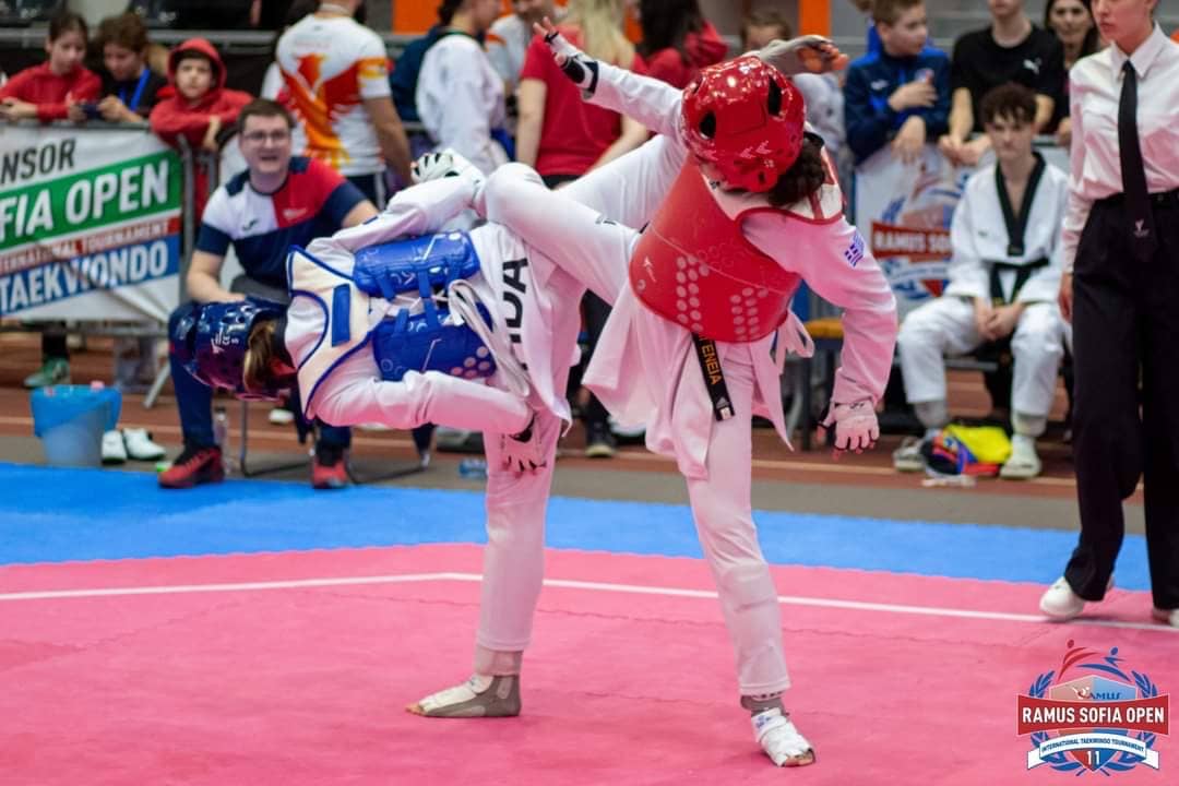thiseas-taekwondo-zoi-kakareli-nea-ionia-sportshunter-24 Large