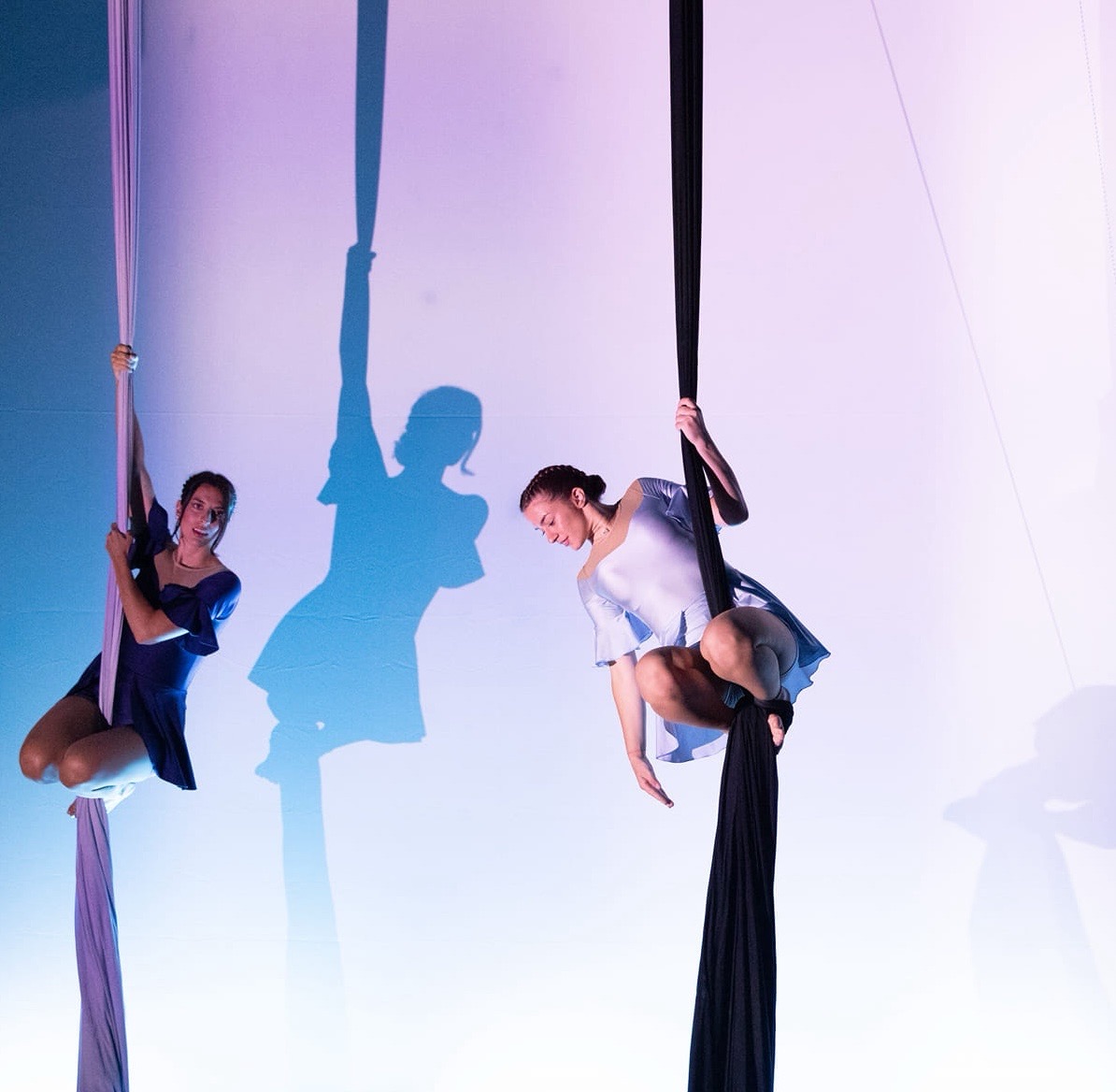 Cirqles Aerial Creartivity