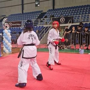 TaeKwonDo I.T.F.