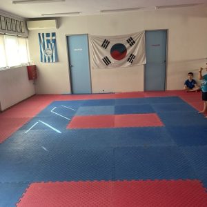 Krav Maga