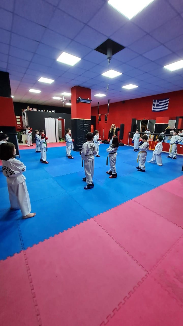 taekwondo-agias-paraskeyis-a-s-f-taekwondo-agia-paraskeyi-sportshunter-5