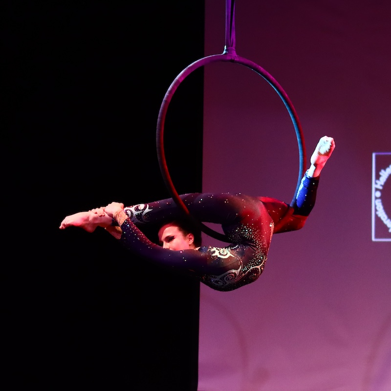 BodyWorks Aerial Arts & Fitness
