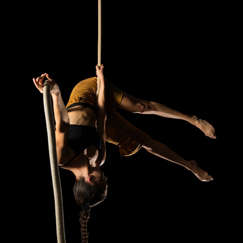 Momentum Aerial Acrobatics
