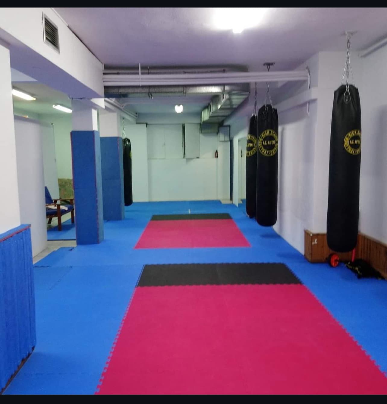 a-s-egeas-kick-boxing-nea-smyrni-sportshunter-xoros-4