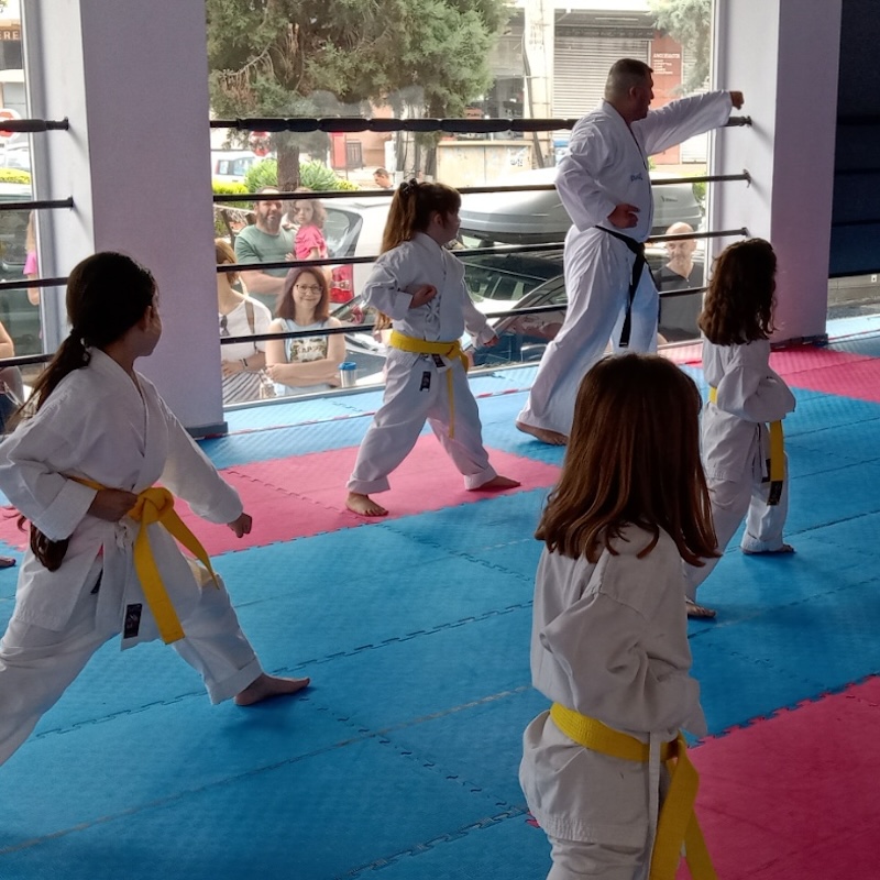 Shotokan Karate Αιγιαλείας
